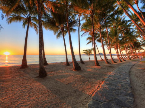 Palm Cove Beach Apartment - Accommodation Broadbeach 21