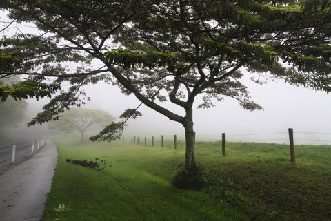 Bower 63 - Accommodation Broadbeach 31