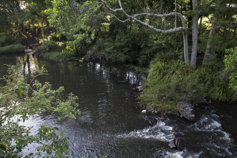 Bower 63 - Accommodation Broadbeach 23