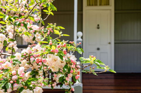 Apple Blossom Cottages - Accommodation Broadbeach 2