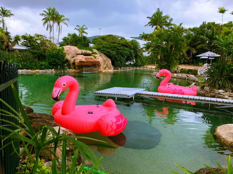 Cairns Colonial Club Resort - Accommodation Broadbeach 6