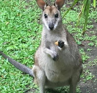 Bluewater Bed  Breakfast Cairns - Accommodation Broadbeach