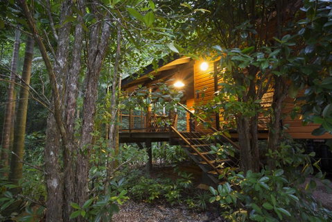Wildwood - Accommodation Broadbeach 0