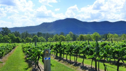 Winmark Wines - Accommodation Broadbeach 1