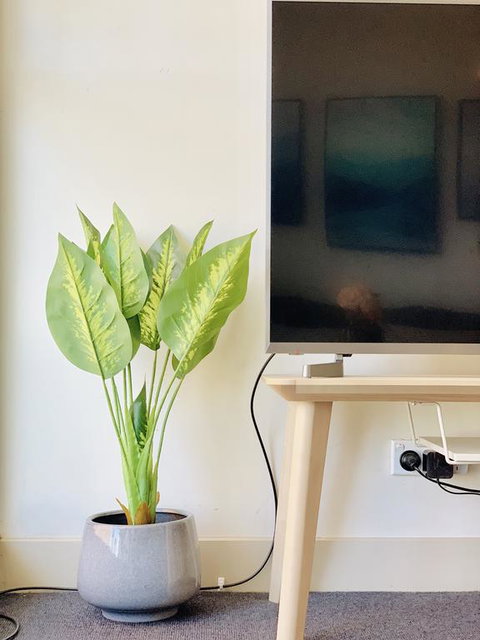ZEN Homes On Collins - Accommodation Broadbeach 3