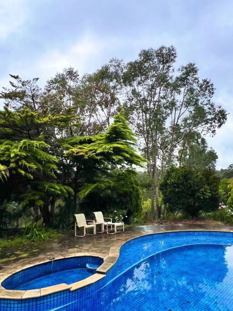 A Lovely Pool House In Forest - Accommodation Broadbeach 2