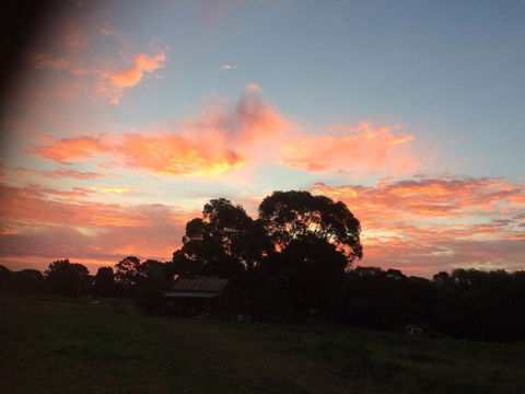 Abington Farm B & B - Accommodation Broadbeach 3