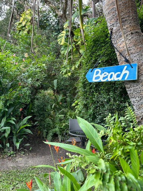 Absolute Beach Front Home -Dogs, Surf, Relax, Bush - Accommodation Broadbeach 2
