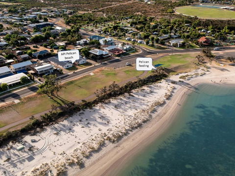 API Pelican Beach Front Apartments Kalbarri - Accommodation Broadbeach 1