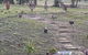 Australian Wildlife At Your Door - thumb 0