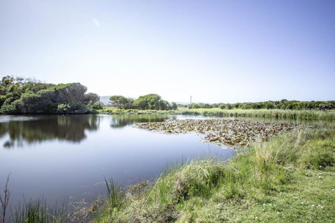 Apollo Bay Cottages- Sabine - Accommodation Broadbeach 3