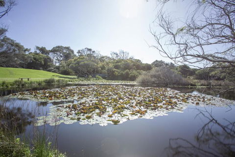 Apollo Bay Cottages- Sabine - Accommodation Broadbeach 4