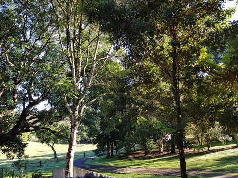 Bee-Haven Cottage - Accommodation Broadbeach 7