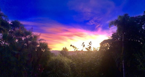 Daintree Manor B&B - Accommodation Broadbeach 3