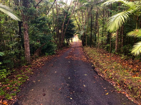 Daintree Manor B&B - Accommodation Broadbeach 12