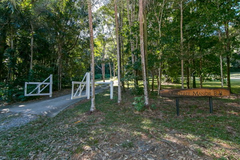 Daintree Manor B&B - Accommodation Broadbeach 18