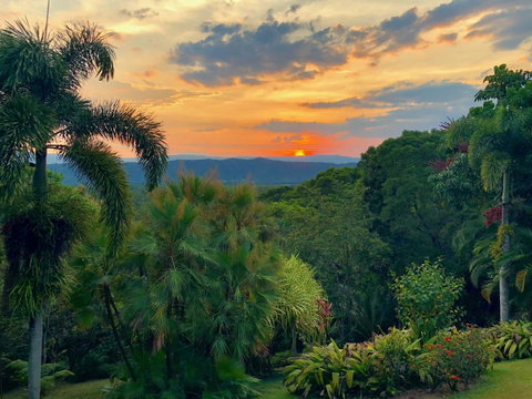 Daintree Manor B&B - Accommodation Broadbeach 13