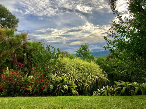Daintree Manor B&B - Accommodation Broadbeach 2