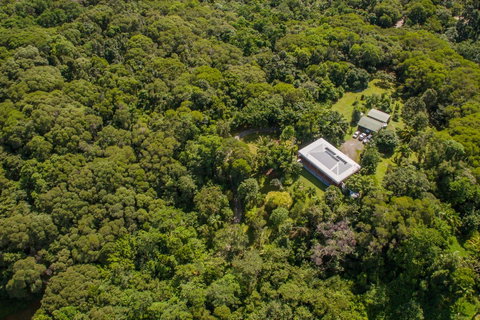 Daintree Manor B&B - Accommodation Broadbeach 14