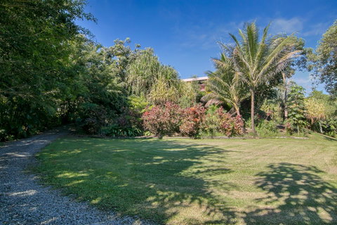 Daintree Manor B&B - Accommodation Broadbeach 19