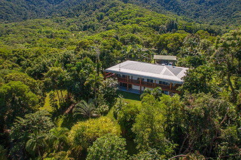 Daintree Manor B&B - Accommodation Broadbeach 27