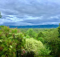 Daintree Manor BB - Accommodation Broadbeach