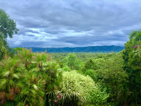 Daintree Manor B&B - Accommodation Broadbeach 0