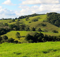 Maleny Springs Farm - Accommodation Broadbeach