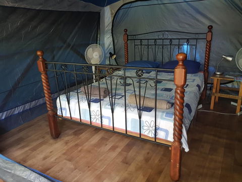 Arcadia Beach Guest House And Car Hire - Accommodation Broadbeach 13
