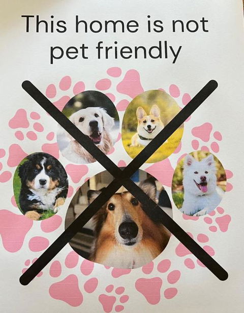 C4 Miles Beach Shack - Accommodation Broadbeach 2