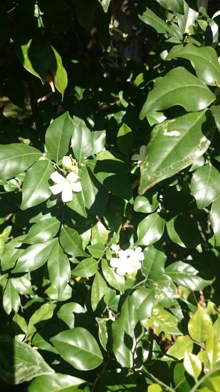 Coomera Motor Inn - Accommodation Broadbeach 2