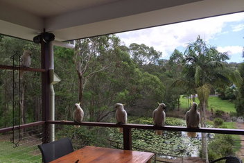 449 with Accommodation Broadbeach