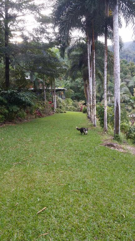 A Daintree Garden - Accommodation Broadbeach 1