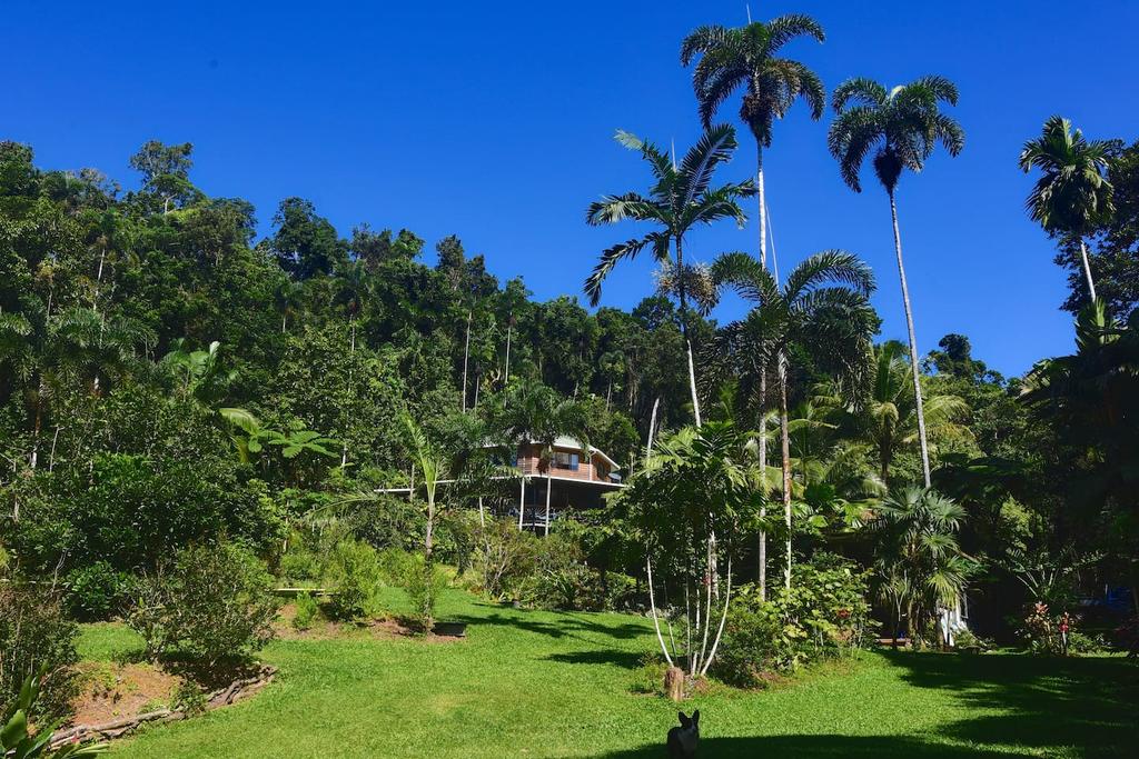 Diwan QLD Accommodation Broadbeach