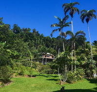 A Daintree Garden - Accommodation Broadbeach