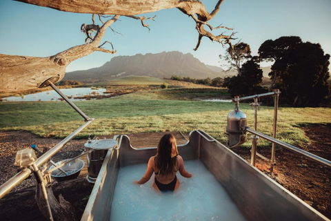 Eagles Nest Retreat - Accommodation Broadbeach 4