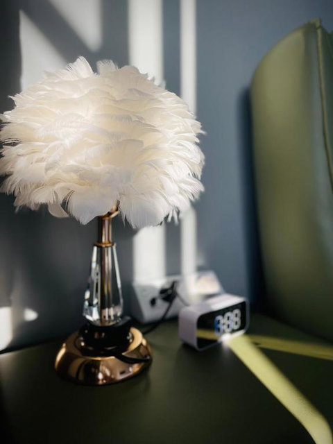 Equitice Spring Moonlight Villa - Accommodation Broadbeach 1