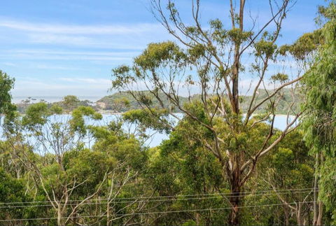 High View House - Views Over Pirates Bay - Accommodation Broadbeach 2