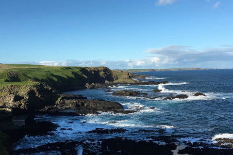 Adrift At Ventnor On Phillip Island, Pets - Accommodation Broadbeach 1