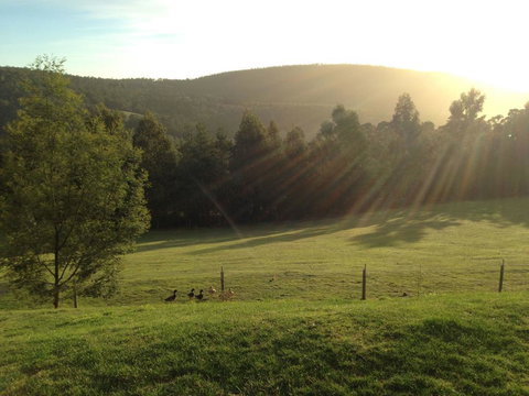 Arjuna Ridge Bed And Breakfast - Accommodation Broadbeach 0