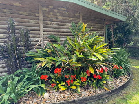 Mallacoota Log Cabins - Accommodation Broadbeach 2