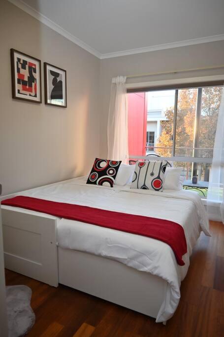 Mawson Red - Free Pool Access -Onsite Parking-Netflix-5 Mins To Mawson Interchange - Accommodation Broadbeach 3