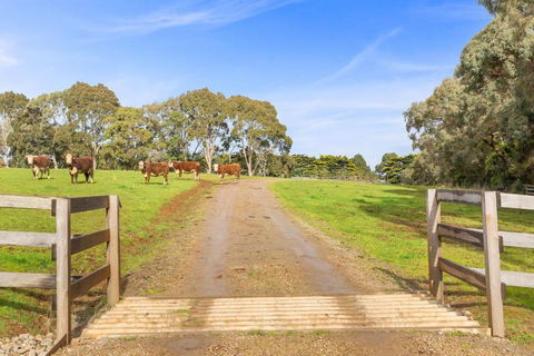 Montana Ranch - Accommodation Broadbeach 2