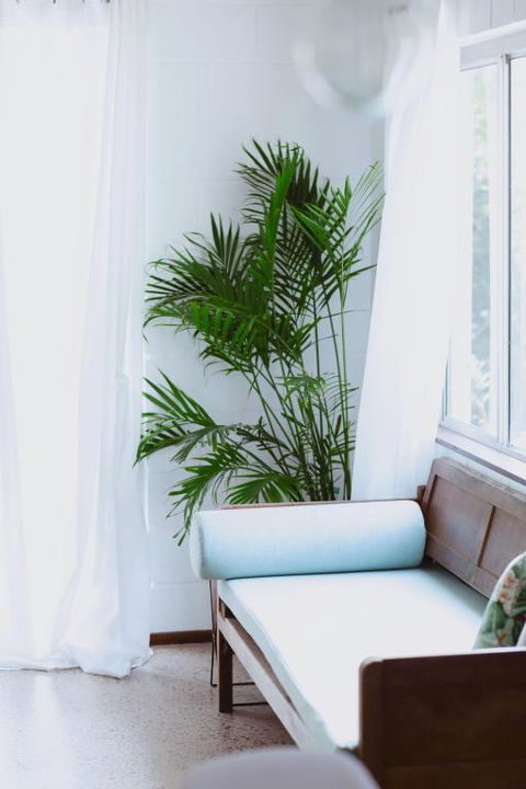Newly Renovated 1970s House Dog And Kid Friendly - Accommodation Broadbeach 0