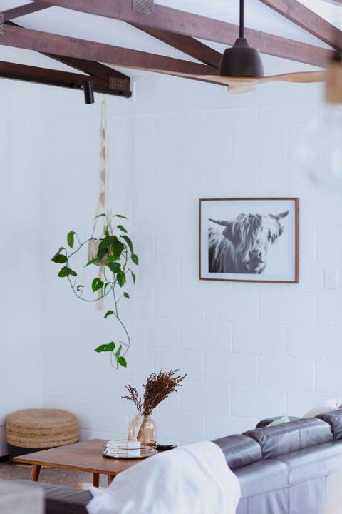 Newly Renovated 1970s House Dog And Kid Friendly - Accommodation Broadbeach 3