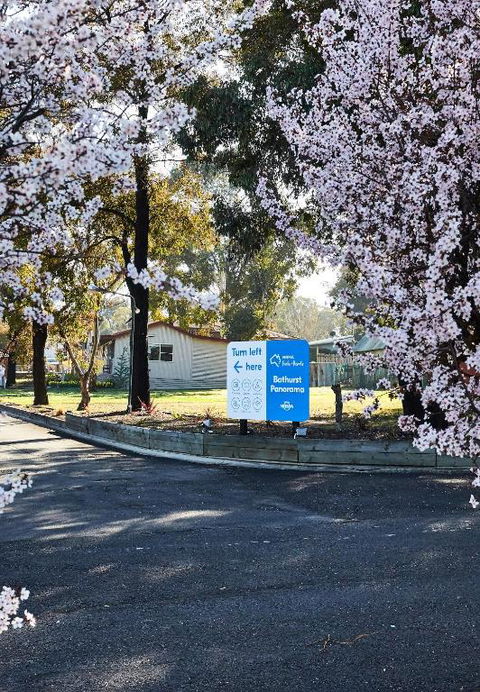 NRMA Bathurst Panorama Holiday Park - Accommodation Broadbeach 1