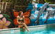 Noosa Flashpackers - thumb 0