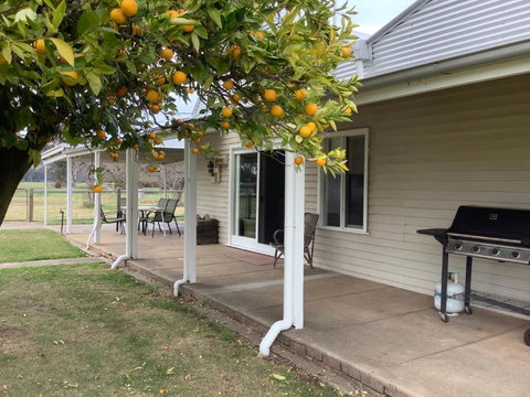 Orange Tree Cottage - Accommodation Broadbeach 0