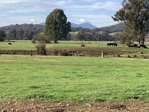 Orange Tree Cottage - Accommodation Broadbeach 3