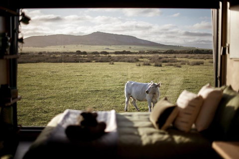 Peter The Tiny Cabin In Esperance - Accommodation Broadbeach 0